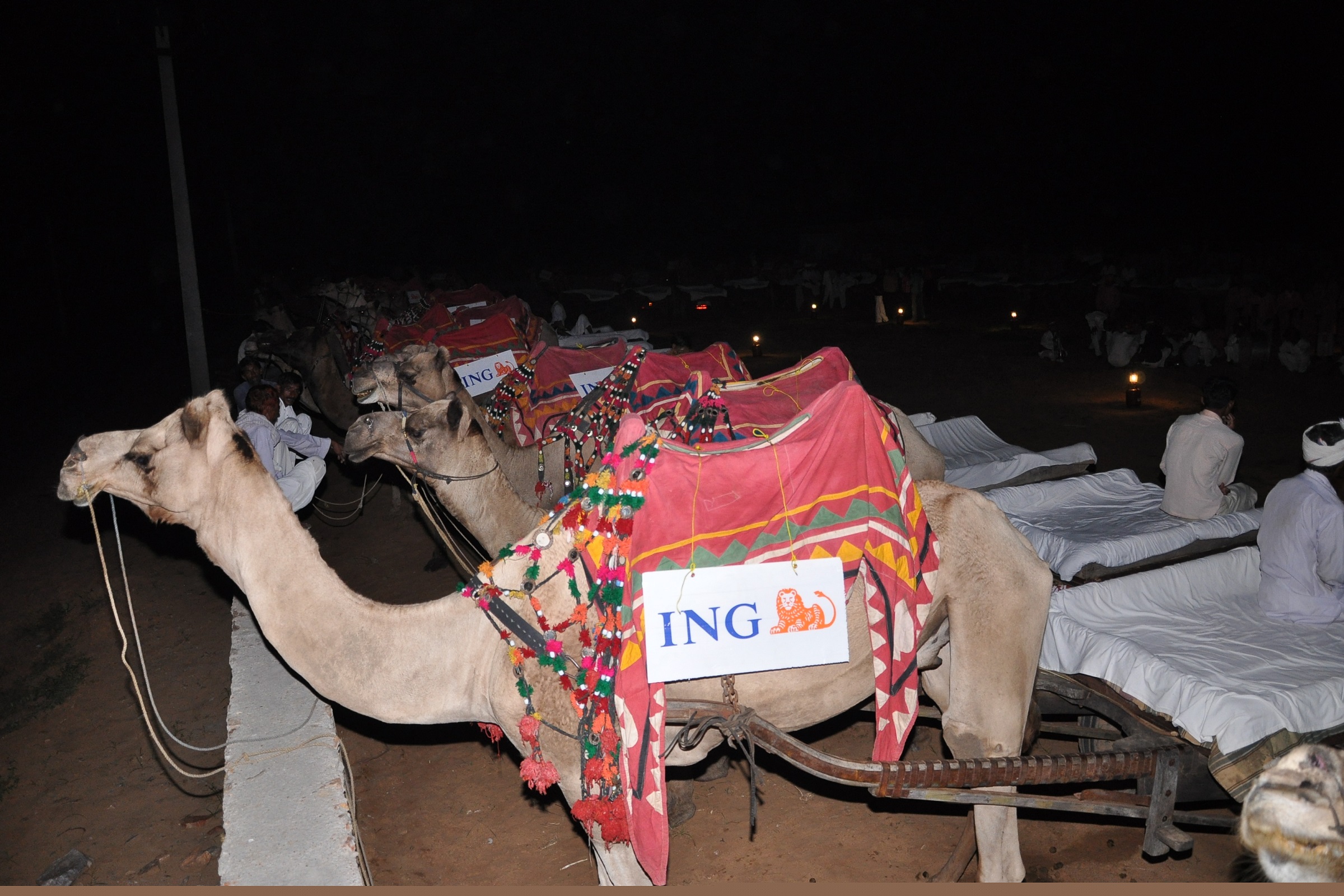 Image from Gala Dinner - Samode Bagh